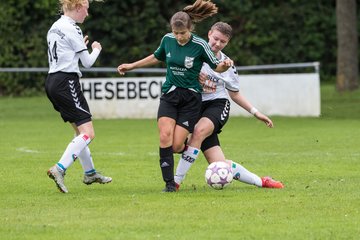 Bild 172 - wBJ SV Henstedt Ulzburg - SG TuRa Meldorf/BGM : Ergebnis: 5:1